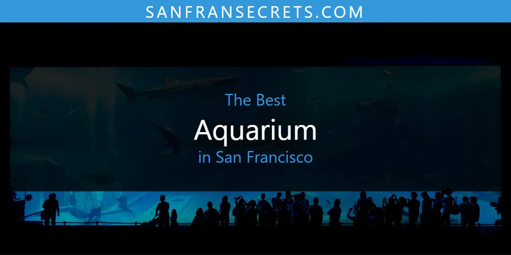 The Best Aquarium in San Francisco