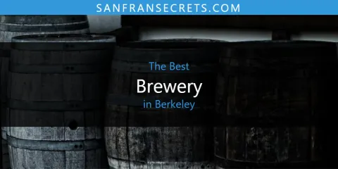 Discover the Best Brewery in Berkeley