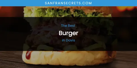 The Absolute Best Burger in Davis