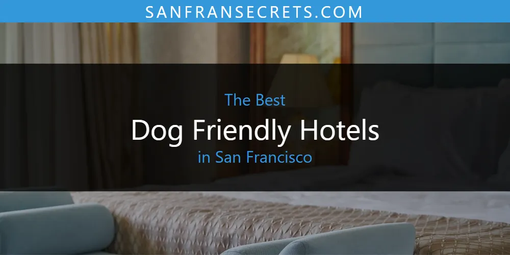 San Francisco's Best Dog Friendly Hotels [Updated 2025]