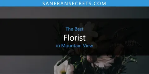 Best Florist in Mountain View: Ultimate Guide