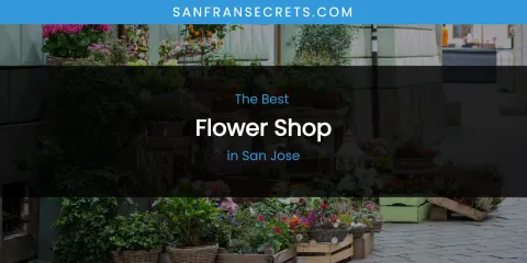 San Jose's Best Flower Shop