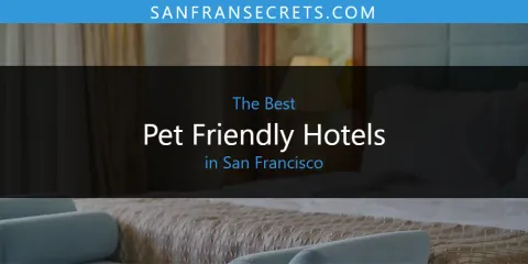 The Best Pet Friendly Hotels in San Francisco
