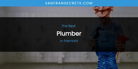 The Absolute Best Plumber in Fremont