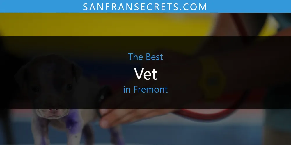 Best Vet in Fremont: Complete Guide (2026)