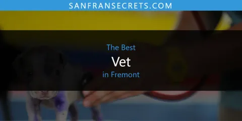 Best Vet in Fremont: Complete Guide