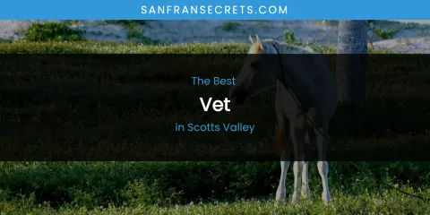 Scotts Valley's Best Vet